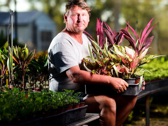 Ron Williams from Ron's Plant Farm, is finally getting his business back to normal after the Townsville Flood and Covid-19. Picture: Alix Sweeney