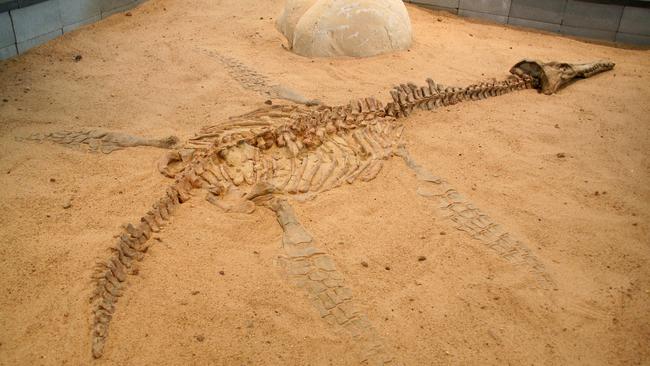 The Richmond Pliosaur dinosaur fossil at Lark Quarry, one part of the Dinosaur Trail near Winton in Queensland. Tourists can follow the Dinosaur Trail across three shires. Pic Toryn Chapman.