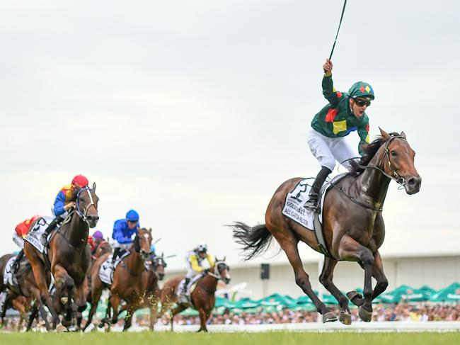 Jockey Ryan Maloney and Alligator Blood make easy work of their rivals in the Magic Millions 3YO Guineas.