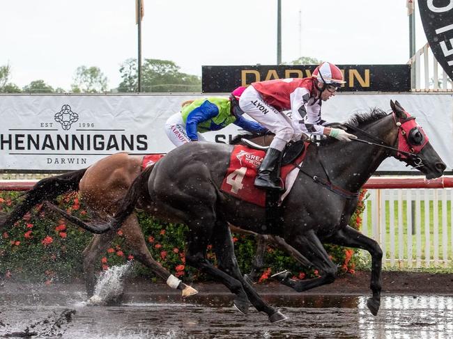 I Am The Fox (jockey Jason Lyon) before winning the 2021 St Patrick’s Day Cup for trainer Garry Lefoe Jr. Picture: Caroline Camilleri