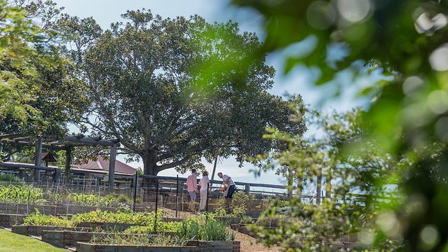 Spicers Hidden Vale. The luxury resort is in the midst of the Lockyer Valley, Queensland. Picture: AAP Image/Outrigger Resorts