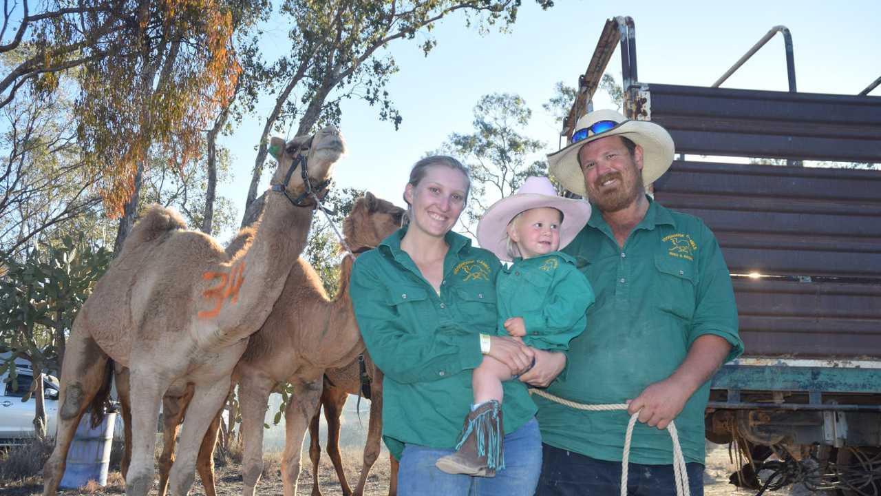 RACING HEARTS: The Woodhouse family from Boulia with Gunner the camel took out the 400 metre cup final at the Tara Festival of Culture and Camel Races over the weekend. . Picture: Kate McCormack