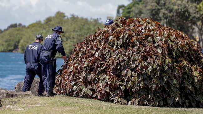 NSW Police Public Order and Riot Squad members search the banks of the Tweed River, Monday, November 26, 2018. Police are searching for evidence in relation to the death of a nine-month-old baby who washed up on Surfers Paradise beach last month. (AAP Image/Tim Marsden)