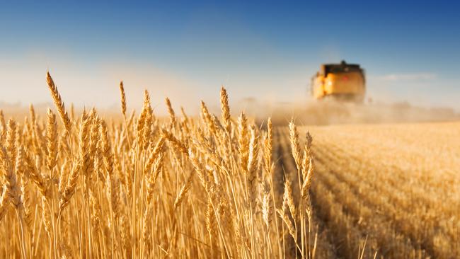 Large portions of the agricultural community are set to be major beneficiaries from the new technology that lifts the productivity of farms.