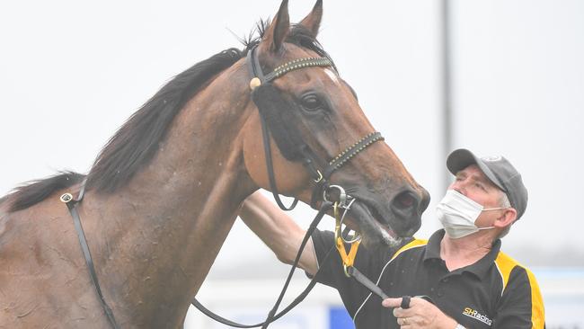 Sirius Suspect after winning the Hanson Handicap.