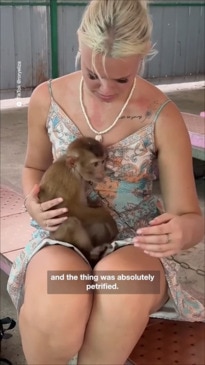 Aussie Tourist Left in Tears Over Thailand 'Monkey Show'