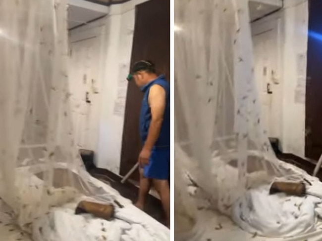 Thousands of moths infested a Thailand hotel room, as a hotel employee attempted to swat them with a bat. Picture: Supplied.