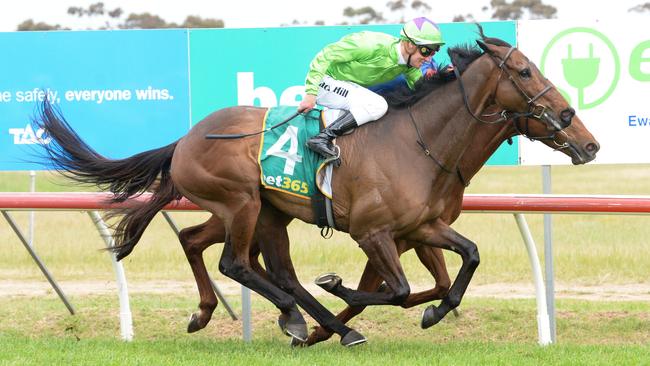 Station One, ridden by Jack Hill, wins this month’s Murtoa Cup. (Photo by Ross Holburt/Racing Photos via Getty Images)