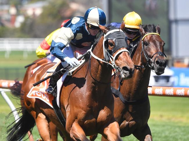 Muramasa ridden by Daniel Moor wins the Neds Coongy Cup at Caulfield Racecourse on October 18, 2023 in Caulfield, Australia. (Photo by Pat Scala/Racing Photos via Getty Images)