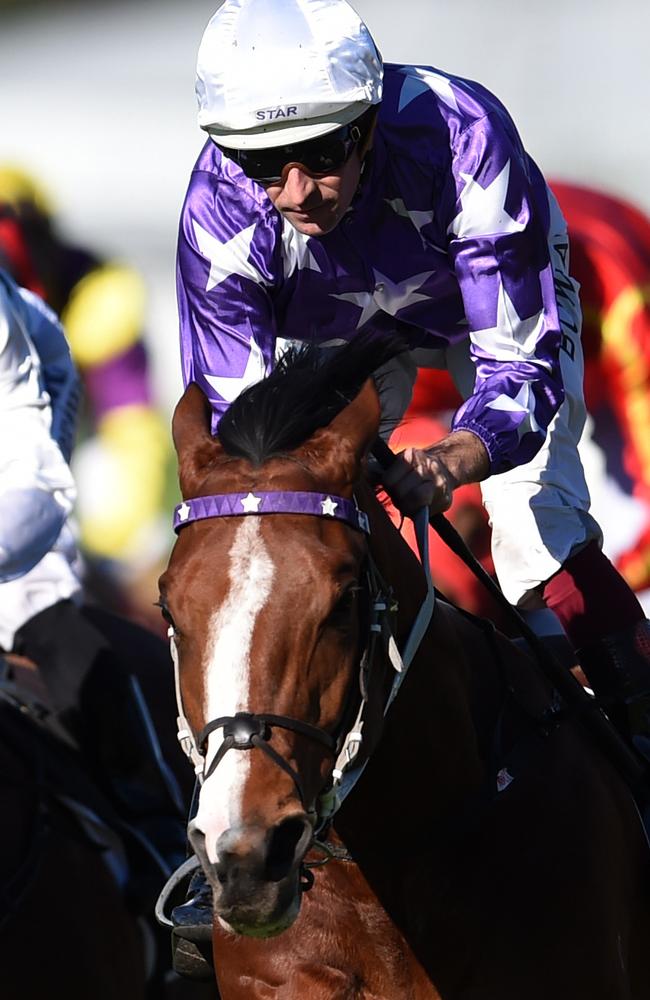 The victory was Cellarman’s first win in four starts but Hugh Bowman feels it won’t be his last. Picture: AAP