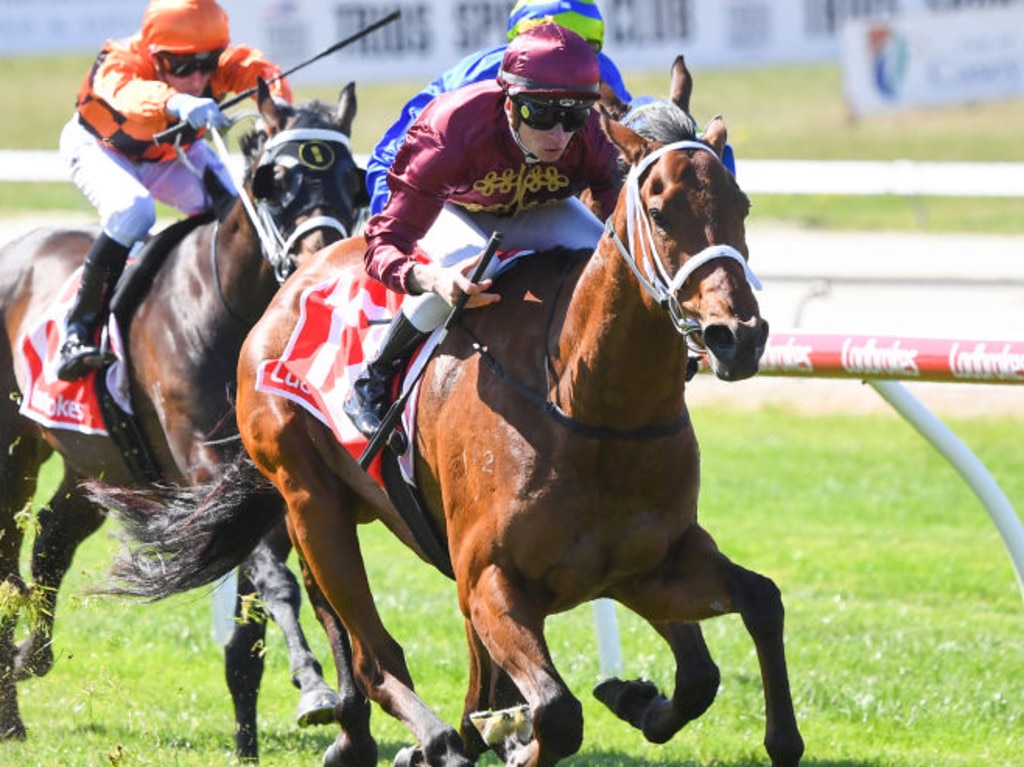 Climbing Star (NZ) ridden by Zac Spain wins the AFC - Peter & Lavella Darose Maiden Plate at Cranbourne Racecourse on September 28, 2022 in Cranbourne, Australia. (Photo by Pat Scala/Racing Photos via Getty Images)