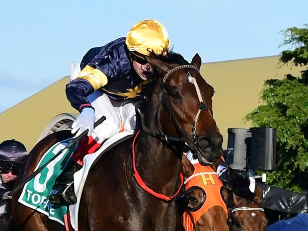 Tofane (Craig Williams) beats Vega One (Rachel King) in the Group 1 Stradbroke Handicap at Eagle Farm. Picture: Grant Peters/Trackside Photography