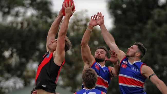 Pascoe Vale's Matt Watson is in superb form. Picture: Aaron Cook