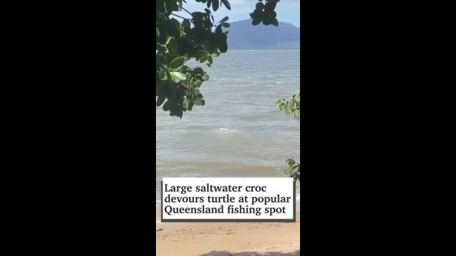 Croc devours turtle at Qld fishing spot | The Courier Mail