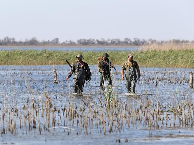 Duck hunting season opening, Lake Cullen, Kerang. Picture Yuri Kouzmin