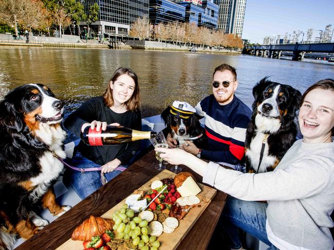 Lifting restrictions around Victoria- Olive, Emma McKean, Nicholas Swan, Gigi, Madison Wilson and Aida loved getting out in a GoBoat on the Yarra River today. Picture- Nicole Cleary