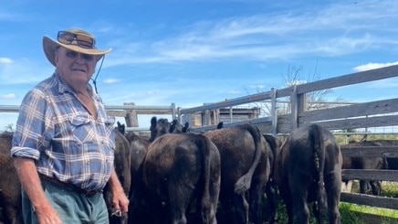 Mark Jacob, Dreeite South, will have 260 mixed sex Angus weaners at Colac Regional Saleyards' December store sale. Picture: Supplied