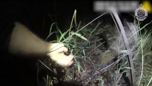 Police dog Scud chases down a man fleeing from police through a swamp in Bundaberg