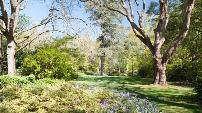 Flint Hill, a 6ha woodland garden surrounded by eucalypt parkland. Picture: Alison Griffiths