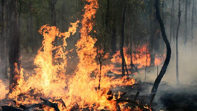 Smoke alert issued as hazard burns start in state forests