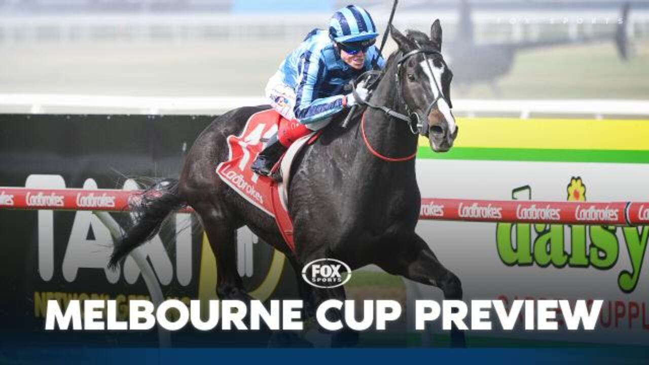 Best of the lead up Melbourne Cup runs Herald Sun