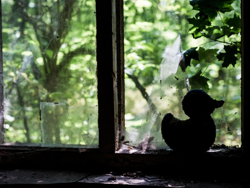 Nature is slowly reclaiming the landscape after the disaster in 1986. Picture: Erwin Zwaan