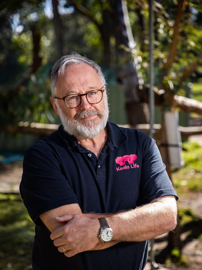 Koala Life director Dr Chris West. Picture: Tom Huntley