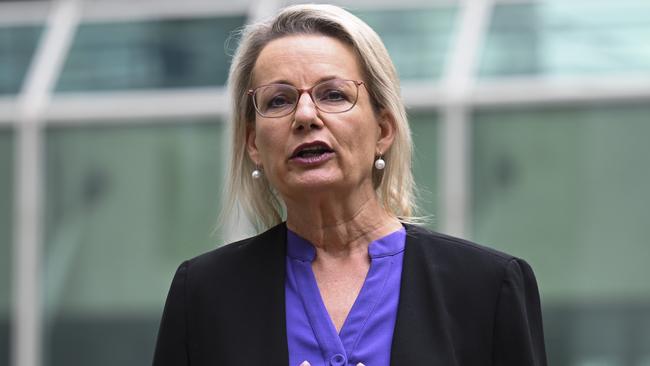 Deputy opposition leader Sussan Ley says Labor is “failing” on skills. Picture: NCA NewsWire / Martin Ollman