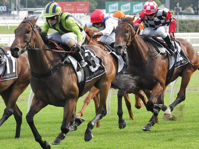 Live And Free (green and blue silks) wins at Randwick in January last year. Picture: AAP