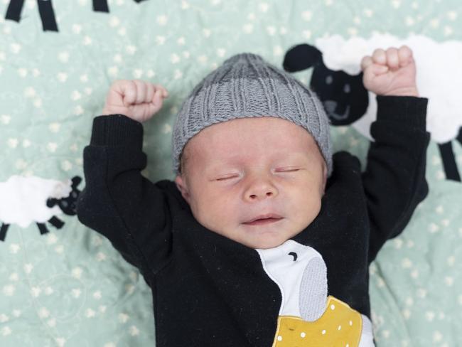 Newborn Alfie was born in Sydney in January. Picture: Monique Harmer