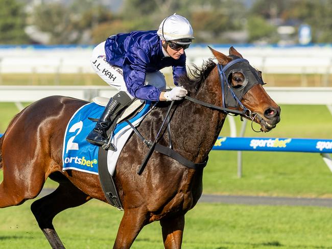 The Map cruises to victory in the Group 3 Queen Elizabeth Cup. Picture: Makoto Kaneko