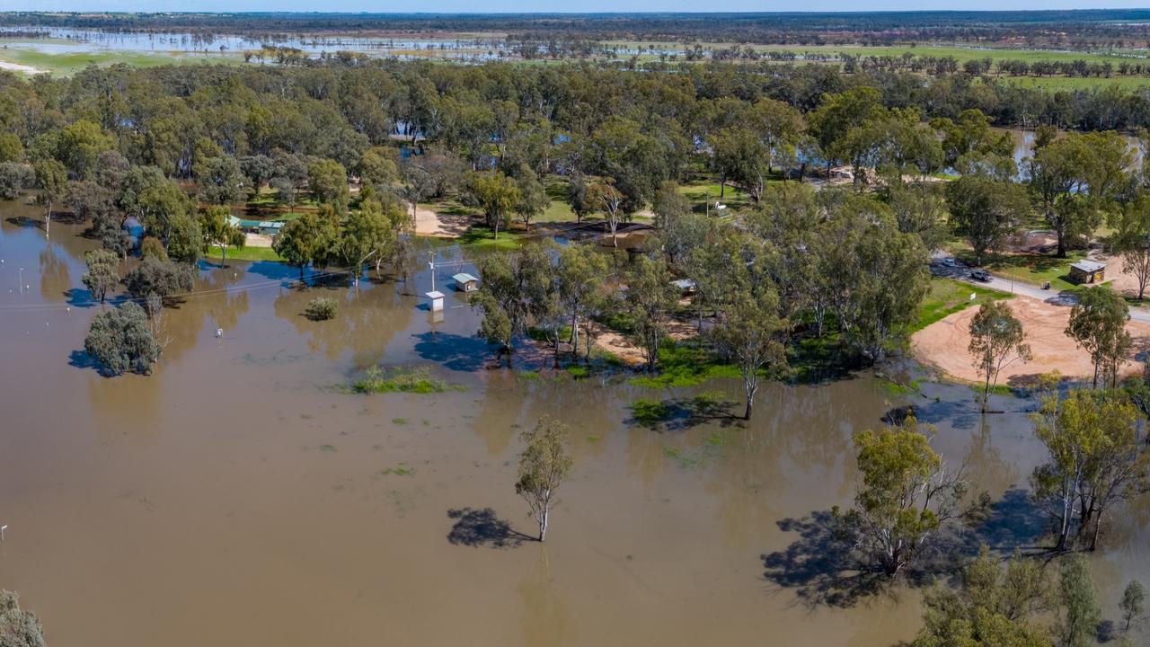 River Murray flooding Businesses beg visitors not to abandon them as