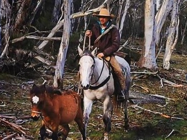 Lewis Benedetti leads a brumby down from the high country to be broken.