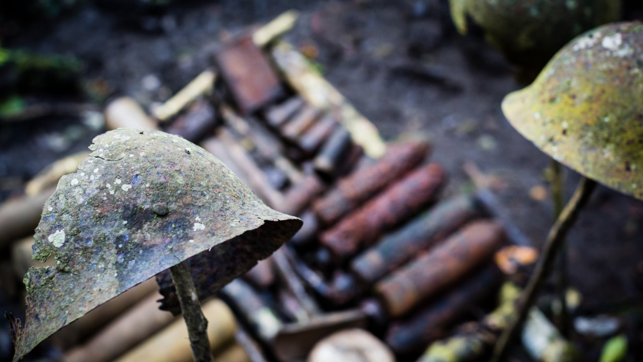 Remains of Australian soldiers found on the Kokoda Track