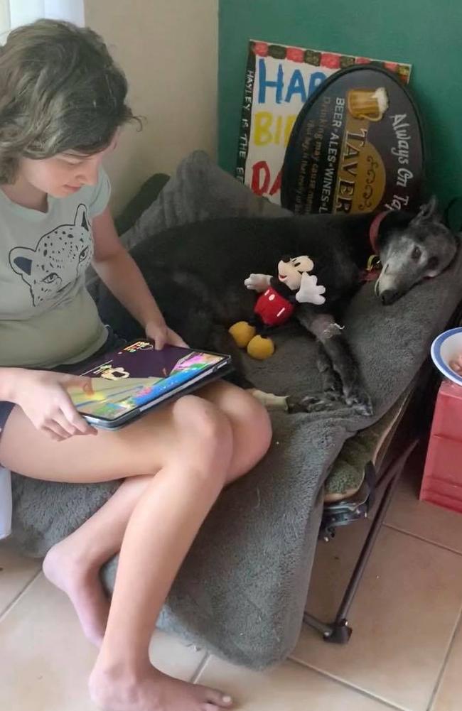 13-year-old Celeste and her assistance dog Minnie. Picture: Facebook