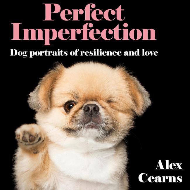 The cover of <i>Perfect Imperfection</i> by Alex Cearns.