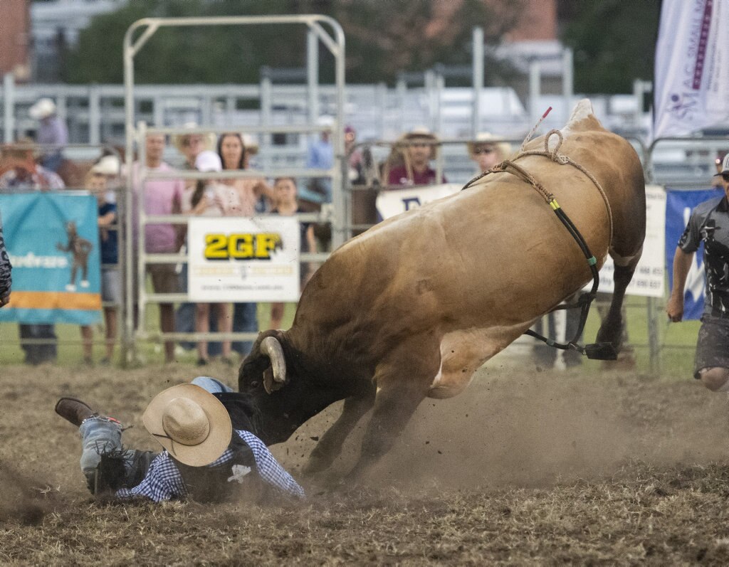 Clint Glass almost makes time in his first ride in the open bull ride at the Lawrence Twilight Rodeo. Picture: Adam Hourigan