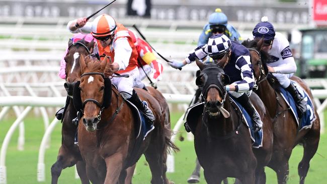 Craig Williams is aiming to win the Pakenham Cup with Vow And Declare. Picture: Grant Peters/Trackside Photography