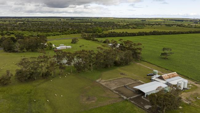 At Wairere all paddocks go through a summer cropping program before being sown down to perennial rye and clover mixes on a range of soil types including red clay loams, clay loams and stony barrier country.