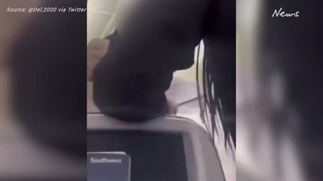 Passengers brawl in brutal mid-flight fight