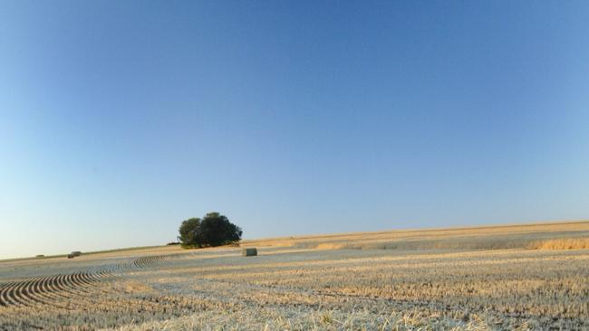 A bale of hay in a paddock northeast of Swan Hill.