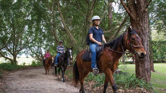 Best things to do in Port Macquarie | Daily Telegraph