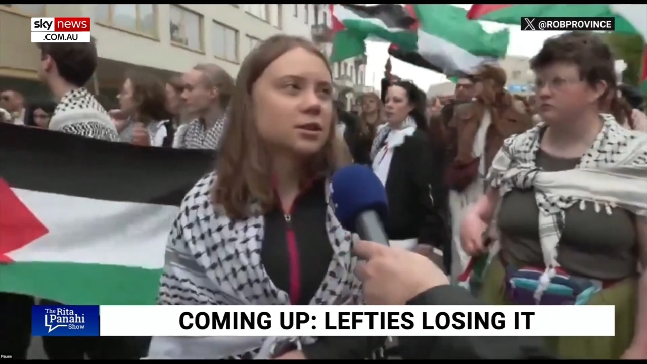 Greta Thunberg is a ‘public nuisance’ for rallying against Israel’s  participation in Eurovision 2024