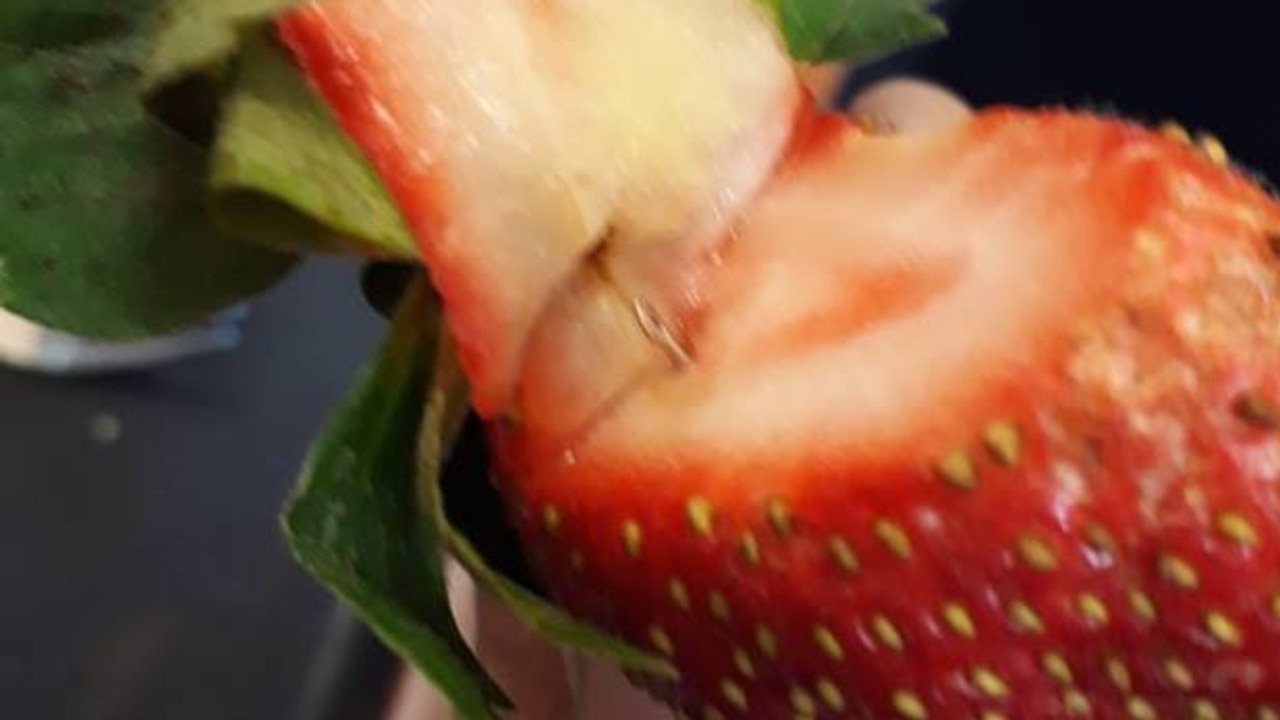 Strawberry recall ‘Heartbreaking’ result of sabotage