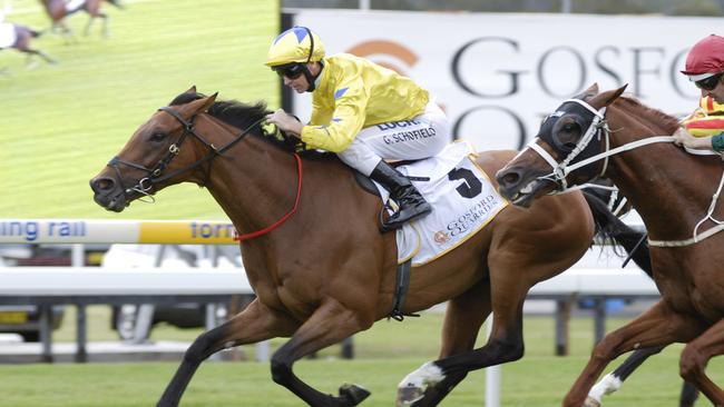 Midsummer Sun wins the first of two Gosford Gold Cups with victory in 2014.