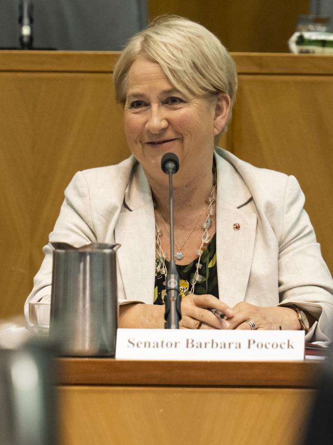 Senator Barbara Pocock. Picture: NCA NewsWire / Martin Ollman