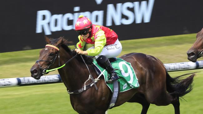 TAB Highway races will be worth $100,000 per race from July 1. Picture: Getty Images