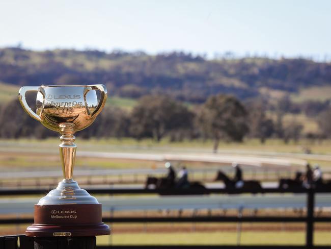 The Melbourne Cup at Lindsay Park Training Stables in Euroa, Victoria.