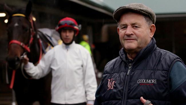 Paul Perry says the shorter trip will suit Tatoosh on Saturday. Picture Waide Maguire.