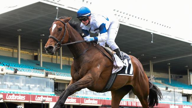 Miami Bound found winning form in the Moonee Valley Gold Cup. Picture: Racing Photos via Getty Images